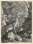 Woodland Deer VII-Ridinger-Framed Stretched Canvas