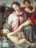 Adoration of the Magi C.1487-Ridolfo Ghirlandaio-Premier Image Canvas