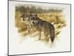 Giclee Print