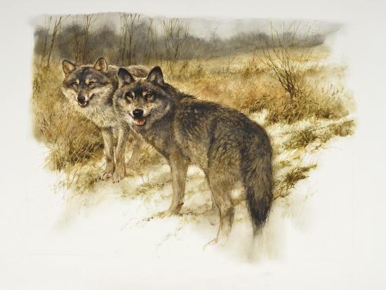 Giclee Print, , large