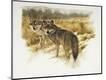 Giclee Print