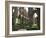 Rievaulx Abbey, Yorkshire, England, United Kingdom-Adam Woolfitt-Framed Photographic Print