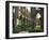 Rievaulx Abbey, Yorkshire, England, United Kingdom-Adam Woolfitt-Framed Photographic Print