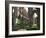 Rievaulx Abbey, Yorkshire, England, United Kingdom-Adam Woolfitt-Framed Photographic Print