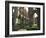 Rievaulx Abbey, Yorkshire, England, United Kingdom-Adam Woolfitt-Framed Photographic Print