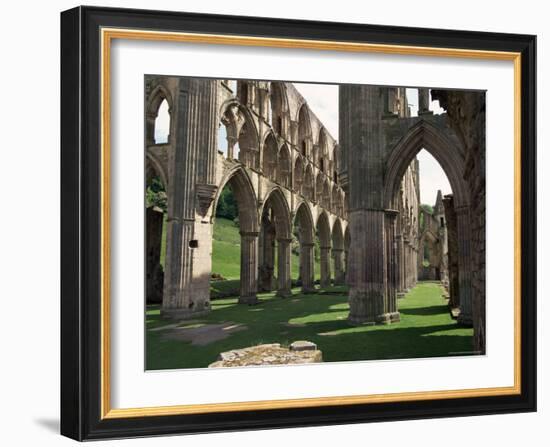 Rievaulx Abbey, Yorkshire, England, United Kingdom-Adam Woolfitt-Framed Photographic Print