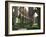 Rievaulx Abbey, Yorkshire, England, United Kingdom-Adam Woolfitt-Framed Photographic Print