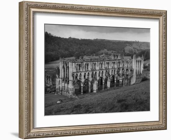 Rievaulx Abbey-Fred Musto-Framed Photographic Print