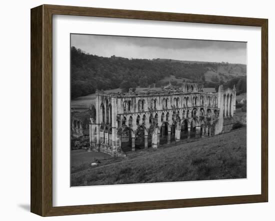 Rievaulx Abbey-Fred Musto-Framed Photographic Print