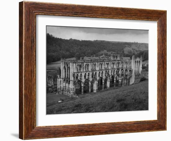 Rievaulx Abbey-Fred Musto-Framed Photographic Print