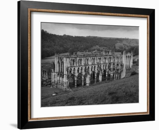 Rievaulx Abbey-Fred Musto-Framed Photographic Print