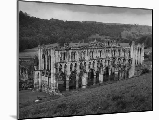 Rievaulx Abbey-Fred Musto-Mounted Photographic Print