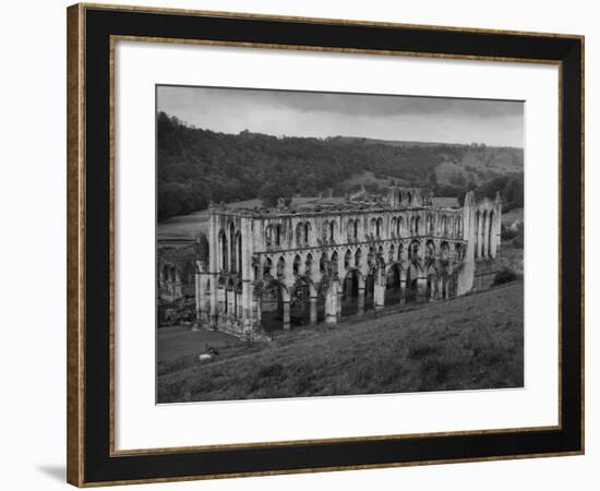 Rievaulx Abbey-Fred Musto-Framed Photographic Print