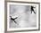 Riffbeat-Sharon Wish-Framed Photographic Print