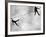 Riffbeat-Sharon Wish-Framed Photographic Print