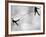 Riffbeat-Sharon Wish-Framed Photographic Print