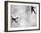 Riffbeat-Sharon Wish-Framed Photographic Print