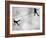 Riffbeat-Sharon Wish-Framed Photographic Print