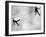 Riffbeat-Sharon Wish-Framed Photographic Print