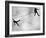 Riffbeat-Sharon Wish-Framed Photographic Print