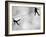 Riffbeat-Sharon Wish-Framed Photographic Print