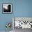Riffpoint-David Baker-Framed Photographic Print displayed on a wall