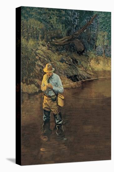 Stretched Canvas Print, , large