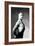 Right Profile of Bodybuilder from the Waist Up-null-Framed Art Print