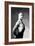 Right Profile of Bodybuilder from the Waist Up-null-Framed Premium Giclee Print