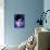 Rihanna-Enrico Varrasso-Framed Stretched Canvas displayed on a wall