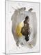 Premium Giclee Print