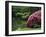 Rikugin Garden, Tokyo, Japan-null-Framed Photographic Print