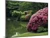 Rikugin Garden, Tokyo, Japan-null-Mounted Photographic Print