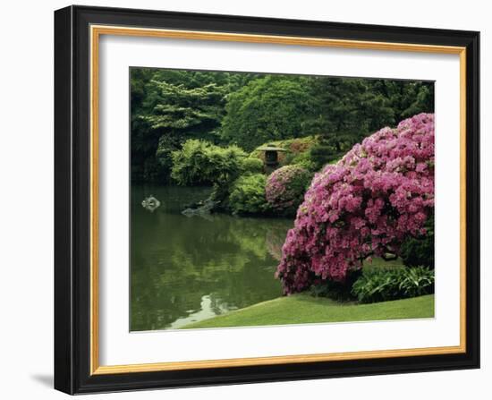 Rikugin Garden, Tokyo, Japan-null-Framed Photographic Print