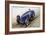 Riley Racing Car-null-Framed Art Print