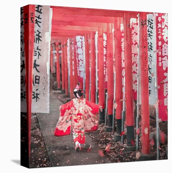 Stretched Canvas Print, , large