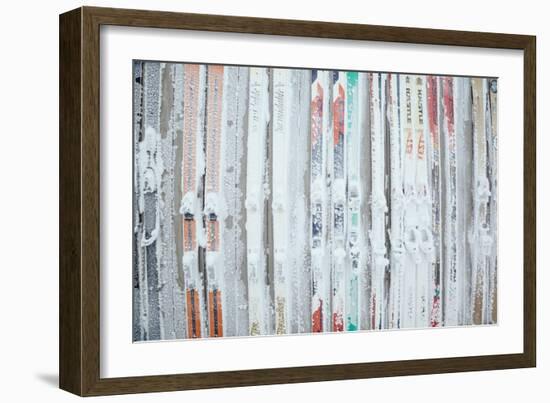 Rime Covered Skis Mounted To The Wall Of Corbet's Cabin At Top Of Jackson Hole Mt Resort, Wyoming-Jay Goodrich-Framed Photographic Print