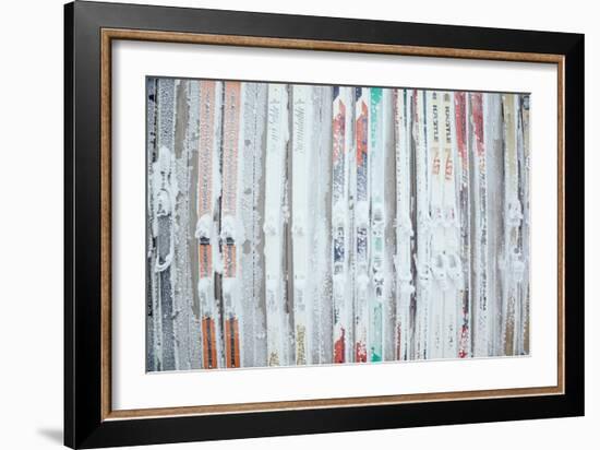 Rime Covered Skis Mounted To The Wall Of Corbet's Cabin At Top Of Jackson Hole Mt Resort, Wyoming-Jay Goodrich-Framed Photographic Print