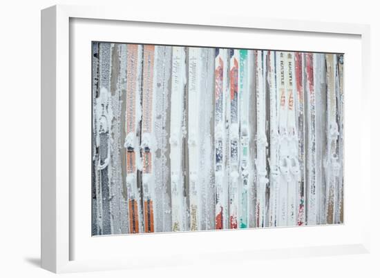 Rime Covered Skis Mounted To The Wall Of Corbet's Cabin At Top Of Jackson Hole Mt Resort, Wyoming-Jay Goodrich-Framed Photographic Print