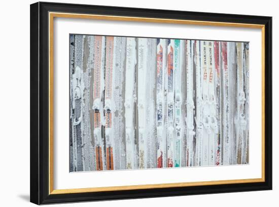 Rime Covered Skis Mounted To The Wall Of Corbet's Cabin At Top Of Jackson Hole Mt Resort, Wyoming-Jay Goodrich-Framed Photographic Print