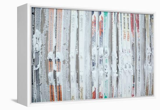 Rime Covered Skis Mounted To The Wall Of Corbet's Cabin At Top Of Jackson Hole Mt Resort, Wyoming-Jay Goodrich-Framed Premier Image Canvas