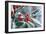 Rimed Berries of the Holly Frosted-null-Framed Photographic Print