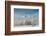 Rimed Cottonwoods and Tetons from Antelope Flats Road-Howie Garber-Framed Photographic Print