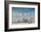 Rimed Cottonwoods and Tetons from Antelope Flats Road-Howie Garber-Framed Photographic Print