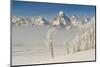 Rimed Cottonwoods and Tetons from Antelope Flats Road-Howie Garber-Mounted Photographic Print