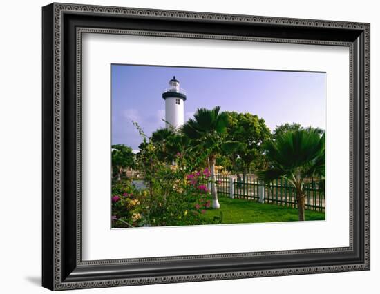 Rincon Lighthouse and Garden, Puerto Rico-George Oze-Framed Photographic Print