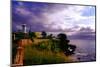 Rincon Lighthouse, Puerto Rico-George Oze-Mounted Photographic Print