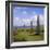 Ring of Brodgar (Brogar), Mainland, Orkney Islands, Scotland, UK,Europe-Michael Jenner-Framed Photographic Print