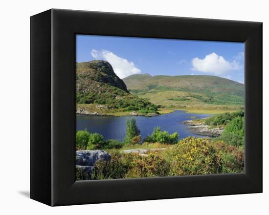 Ring of Kerry, Between Upper Lake and Muckross Lake, Killarney, Munster, Republic of Ireland (Eire)-Roy Rainford-Framed Premier Image Canvas
