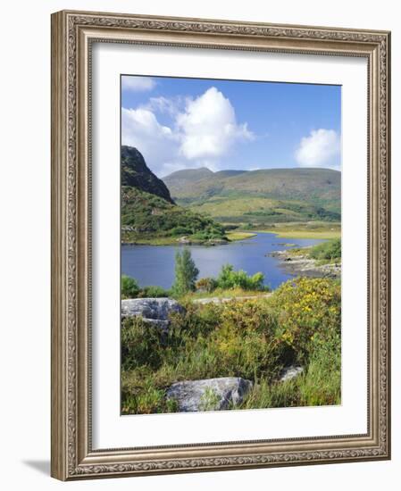 Ring of Kerry Between Upper Lake and Muckross Lake, Munster, Republic of Ireland (Eire)-Roy Rainford-Framed Photographic Print